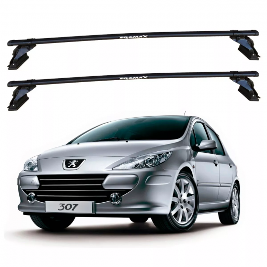 BIG RACK PEUGEOT 307 2002 /... EQMAX ACO